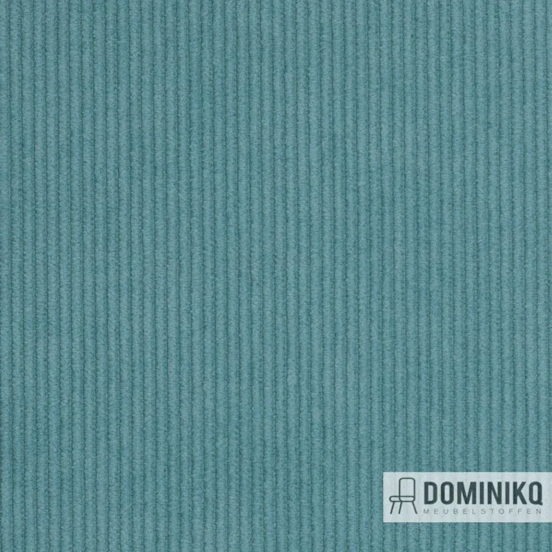 Agua - Cord - CORD02 - Entenei