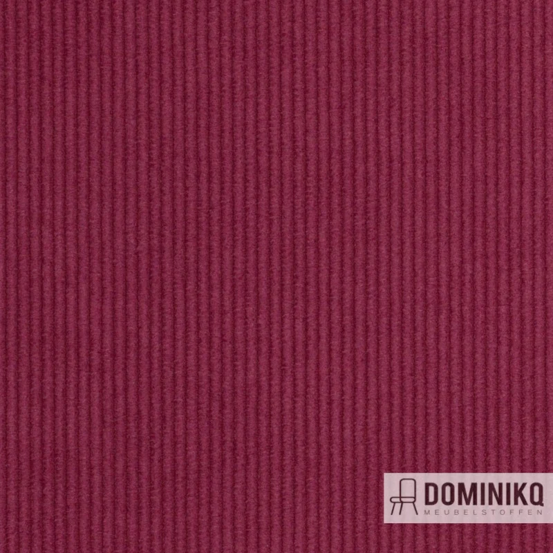 Agua - Cord - CORD08 - Berry