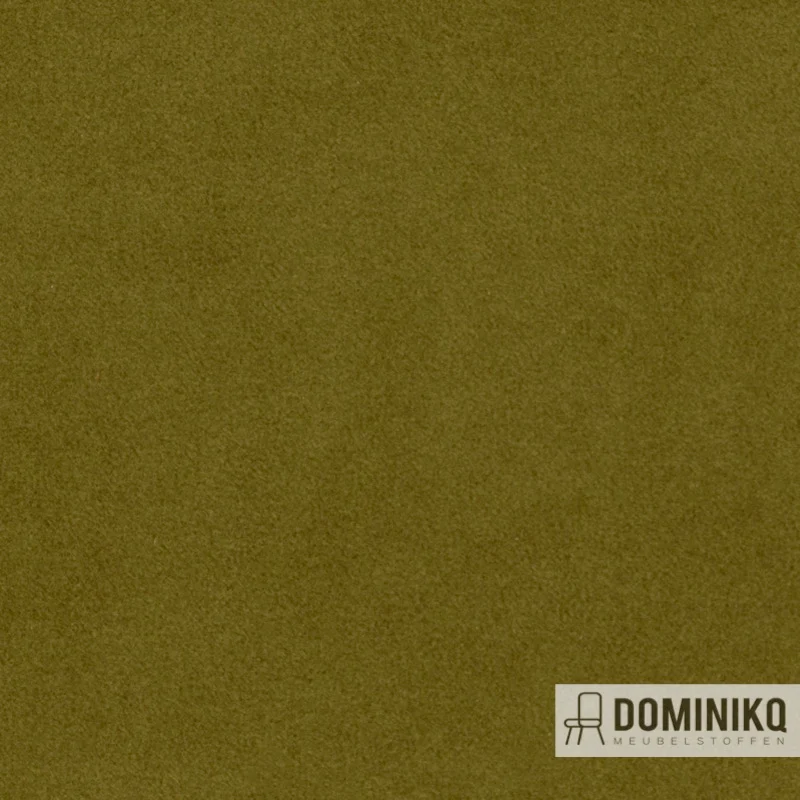 Agua - Finezza - F17 - Olive