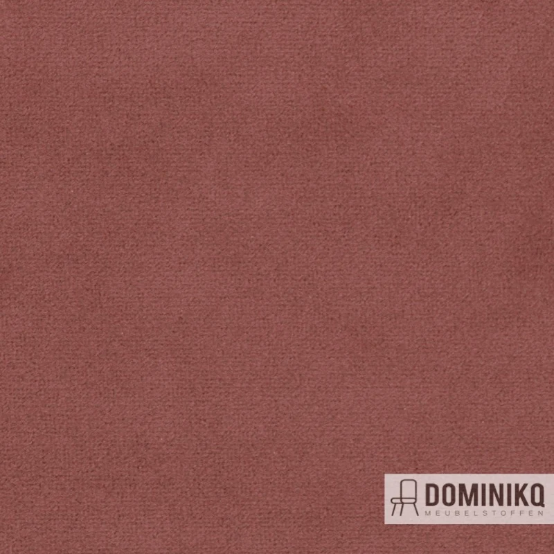Agua - Finezza - F19 - Rouge