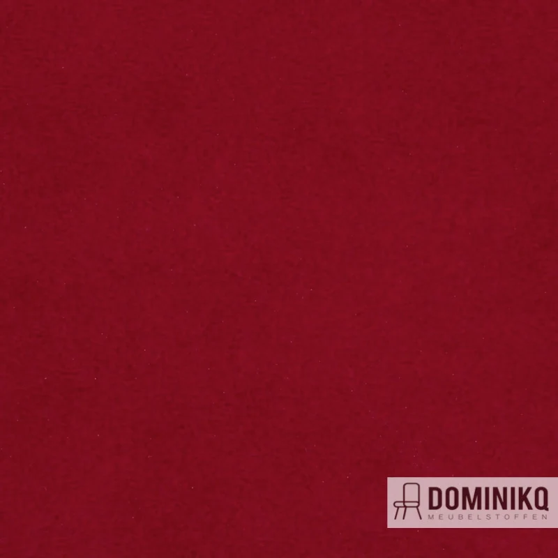 Agua - Finezza - F24 - Ruby