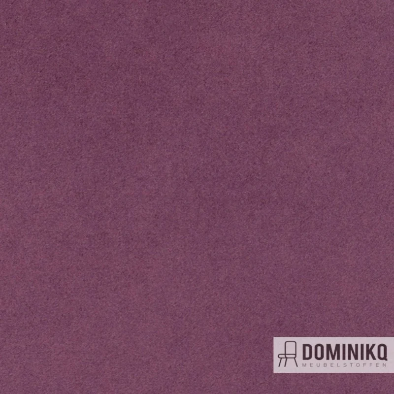 Agua - Finezza - F22 - Heather
