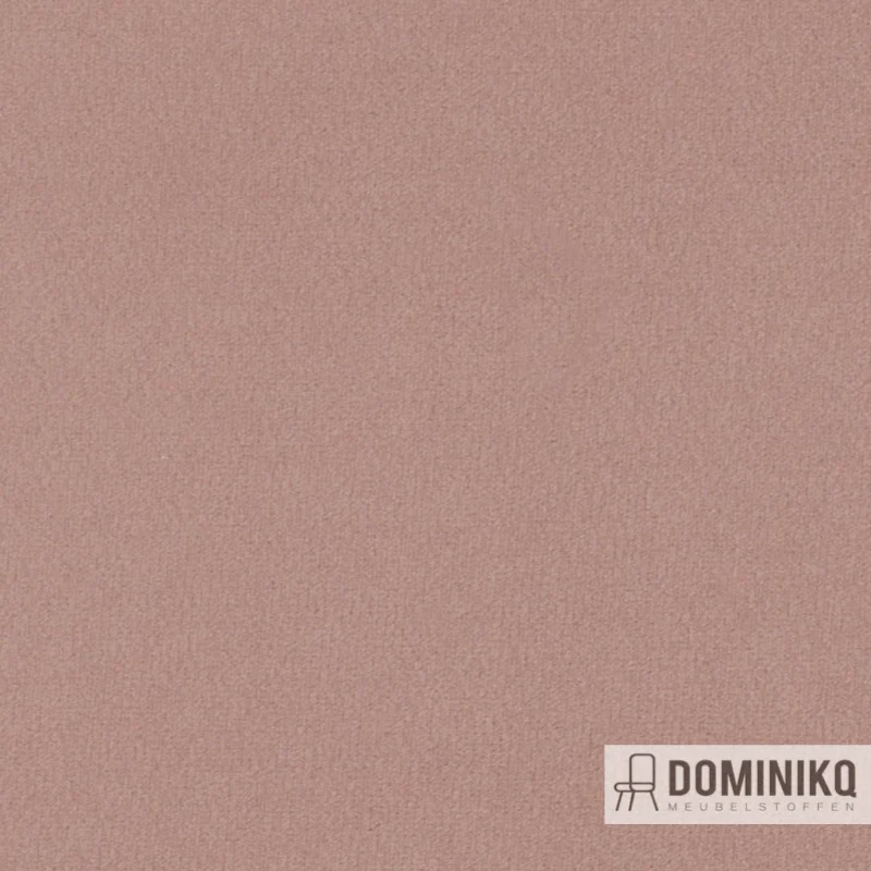 Agua - Primeira - P01 - Blush Pink