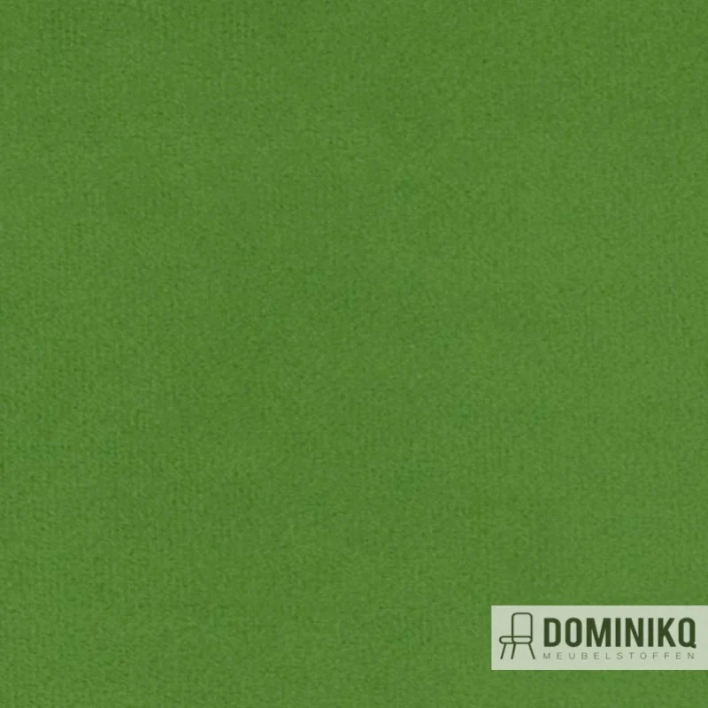 Agua - Primeira - P07 - Apple Green