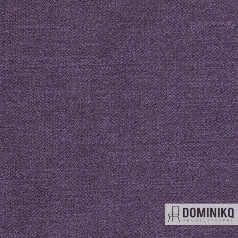 Agua - Sark - SA20 - Purple
