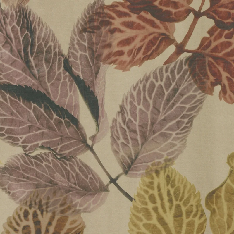 De Ploeg - Kendix - Hortus - 17