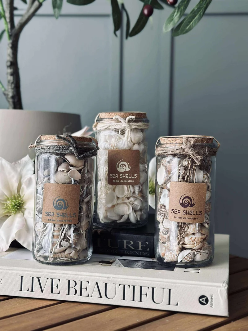 Strandmuscheln im Glas - MIX