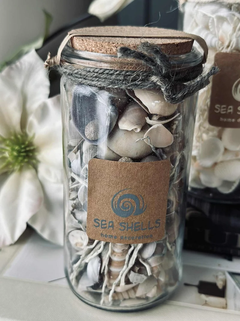 Strandmuscheln im Glas - MIX
