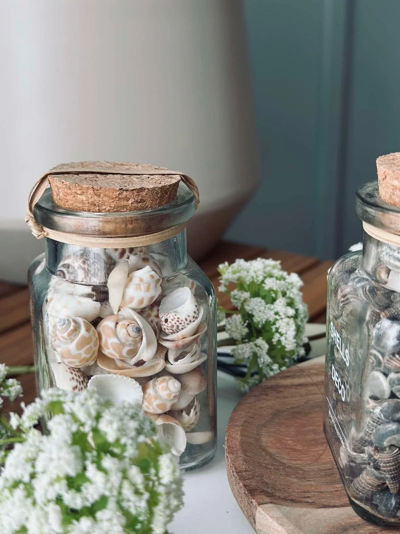 Muscheln aus Glas - Mix