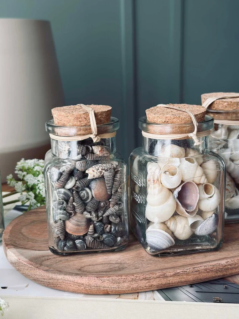 Muscheln aus Glas - Mix