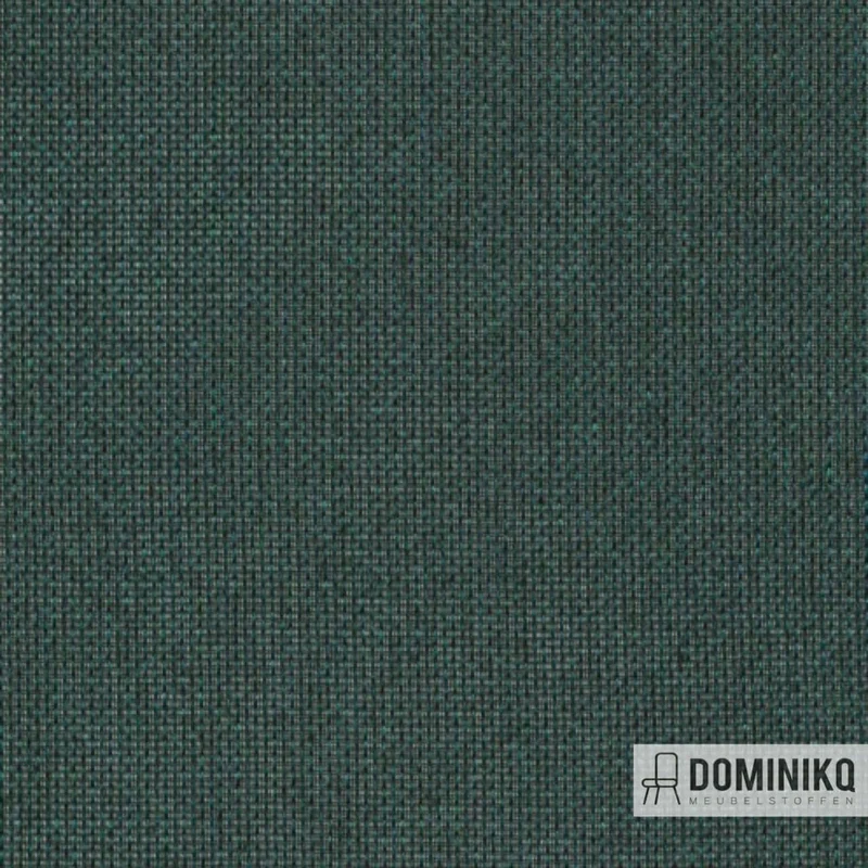 De Ploeg - Kendix - Pavone - 55