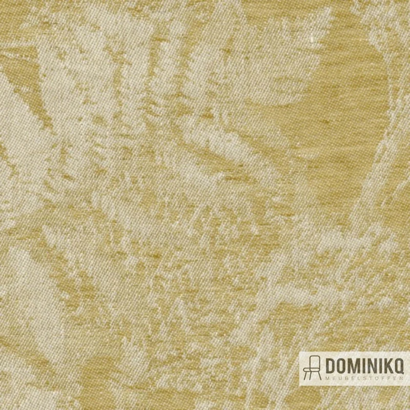 De Ploeg - Kendix - Fir -06