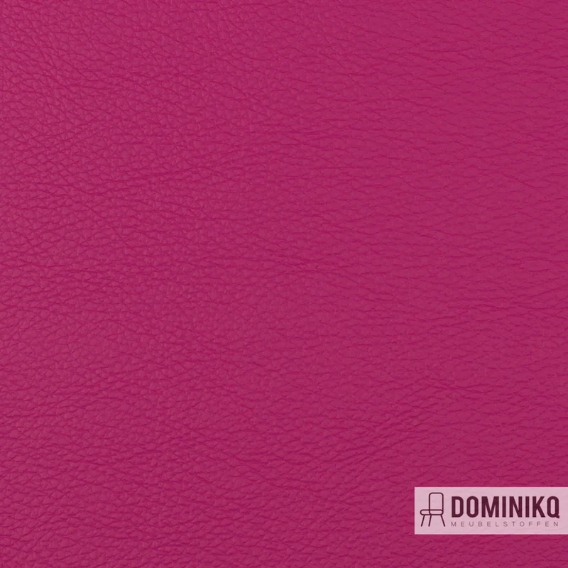 Vyva Fabrics - Popolare - 4247 - Paloma