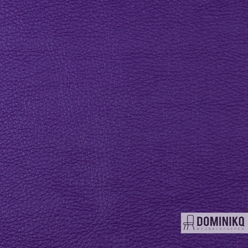 Vyva Fabrics - Popolare - 4254 - Frisky