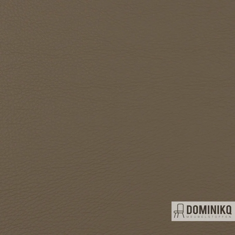 Vyva Fabrics - Popolare - 4270 - Pilze