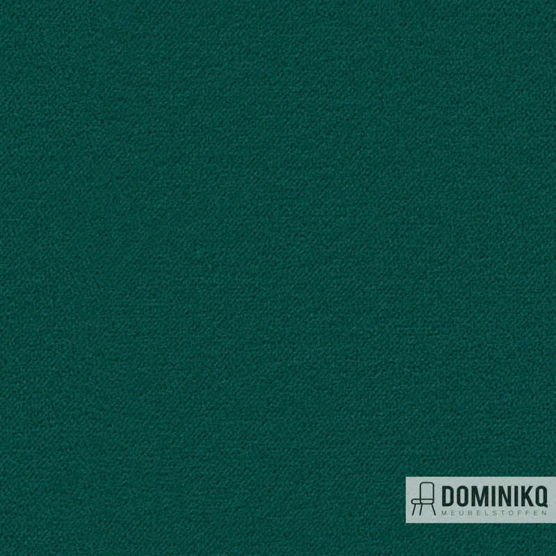Camira - Regent - REG19 Recital