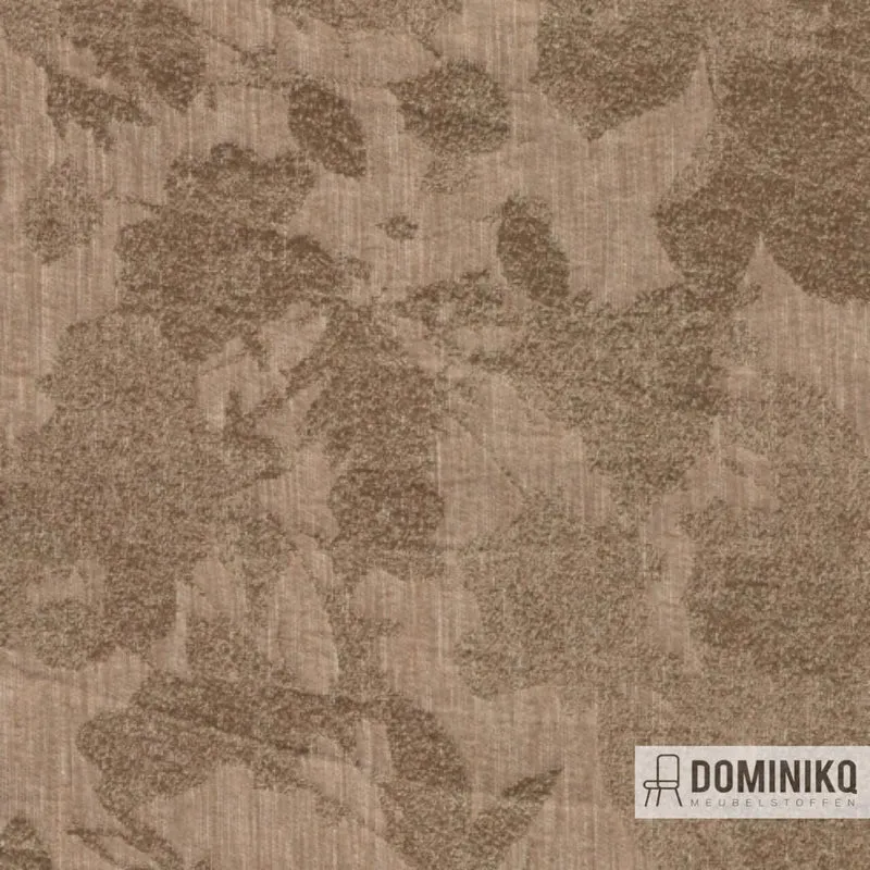De Ploeg - Kendix - Bronze -21