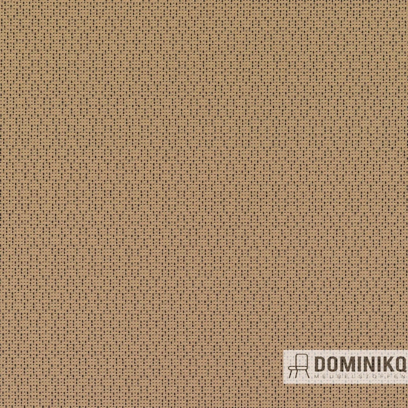 Kvadrat - Ame -242
