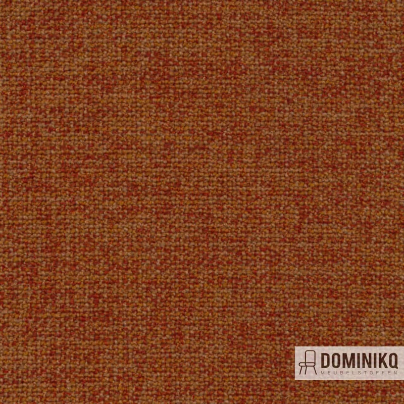 De Ploeg - Taro - 21