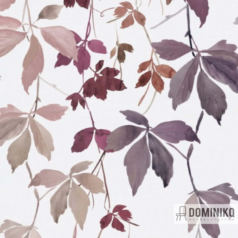 De Ploeg - Kendix - Botanischer Rang-U 03
