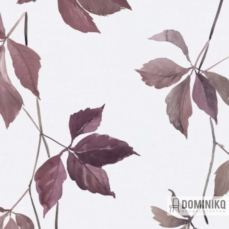 De Ploeg - Kendix - Botanischer Rang-U - 30