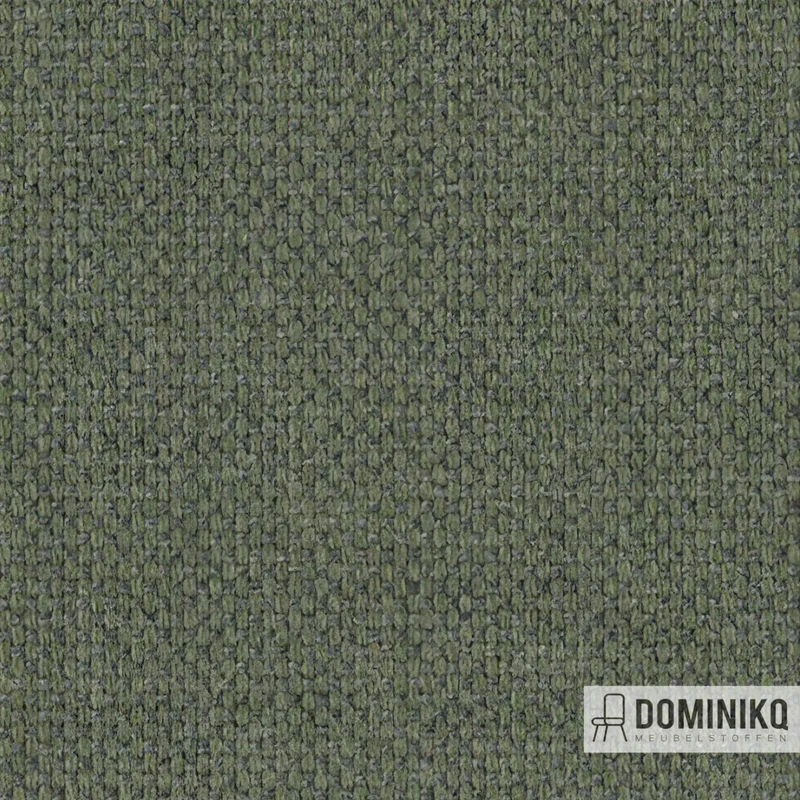 Sunbrella - Source - 19006 SF - Squamarina