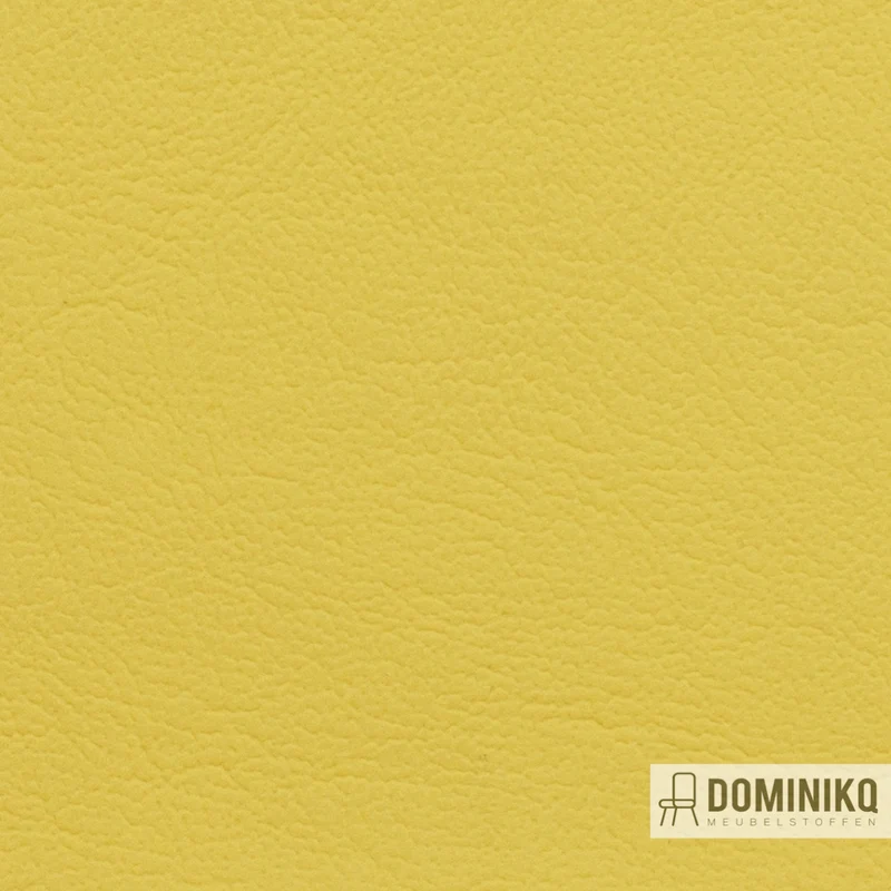 Vyva Fabrics - Maritime - 0016 - Yellow