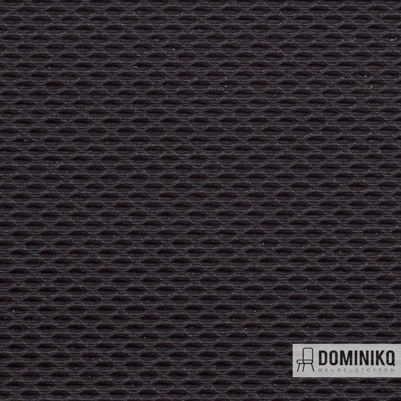 Vyva Fabrics - Wut - 2247 - Black Beere