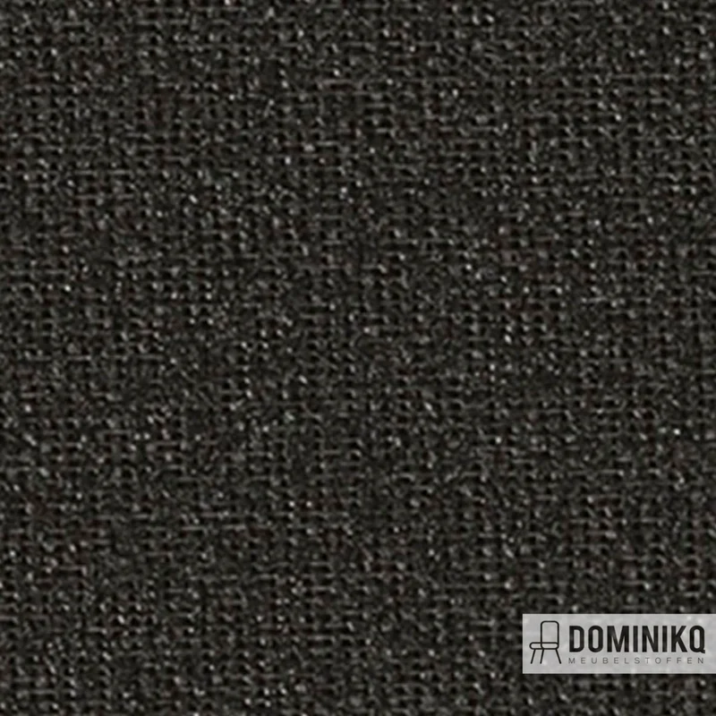 Vyva Fabrics - Unterstreichung - 316948 - Black
