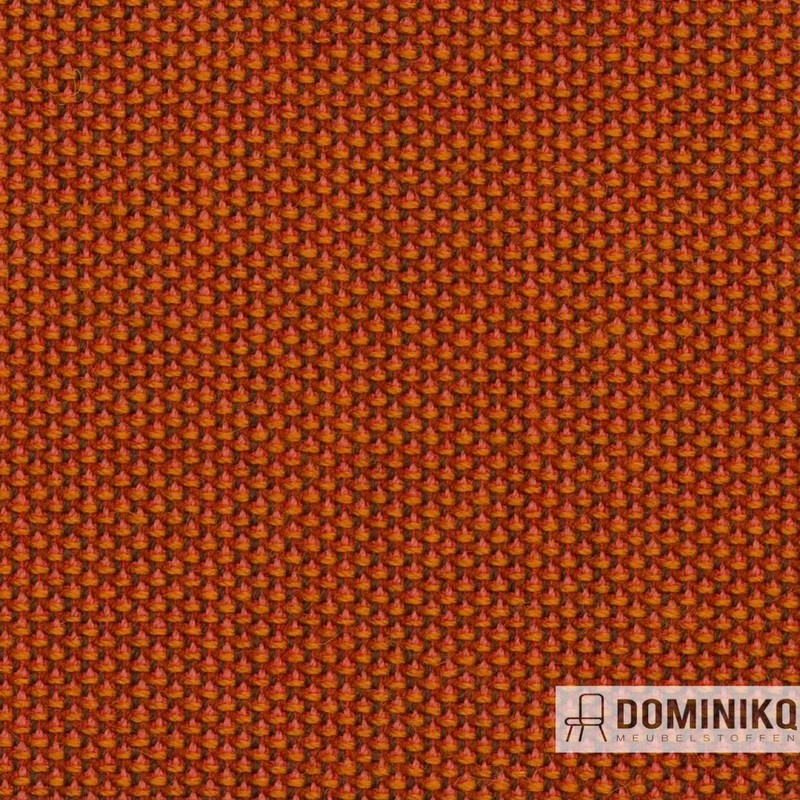 Camira - Penta - PEN33 - Dominant