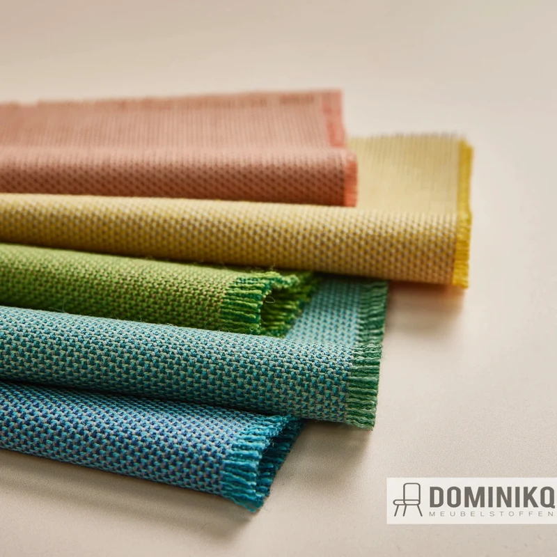 Camira - Penta - PEN33 - Dominant