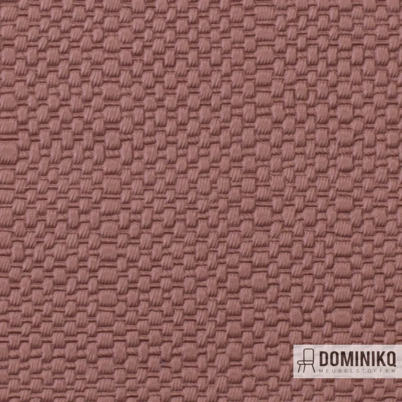 Vyva Fabrics - Straw - 3400 - Bellini