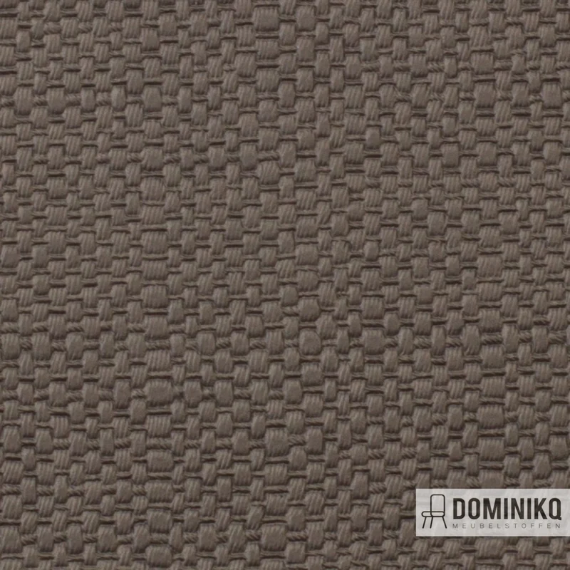 Vyva Fabrics - Straw - 3422 - Root Beer