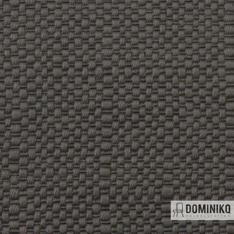 Vyva Fabrics - Straw - 3406 - Earl Grey