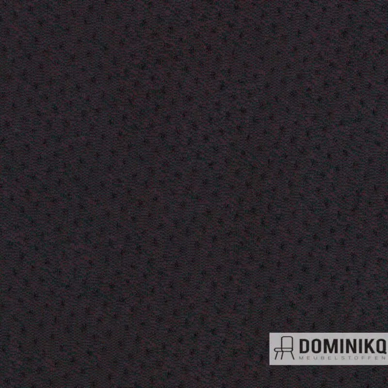 Kvadrat - Febrik - Rumor - 0681