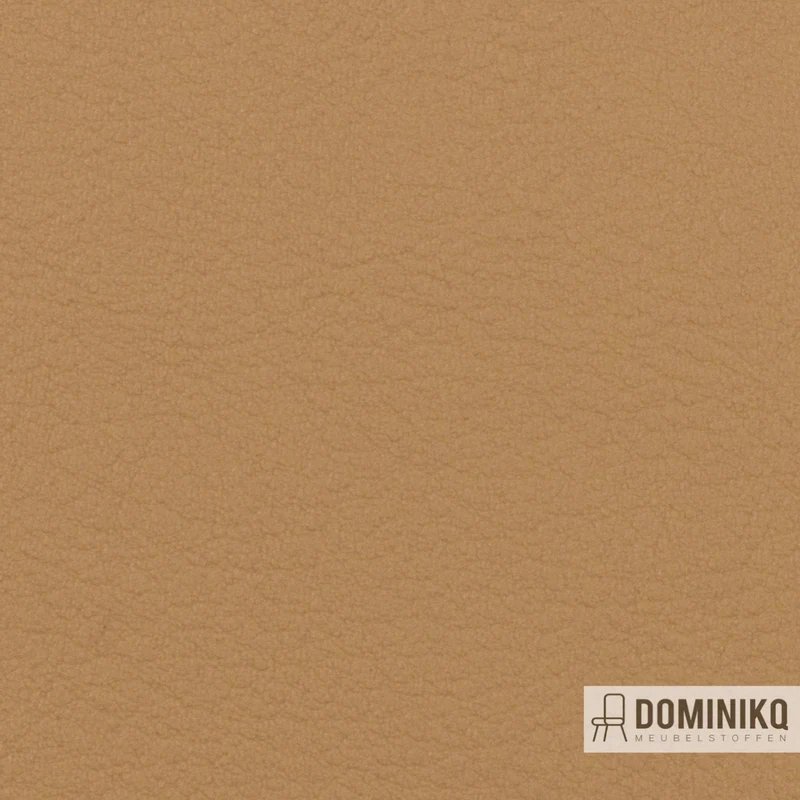 Vyva Fabrics - Valencia - 107-2117 - Kaschmir
