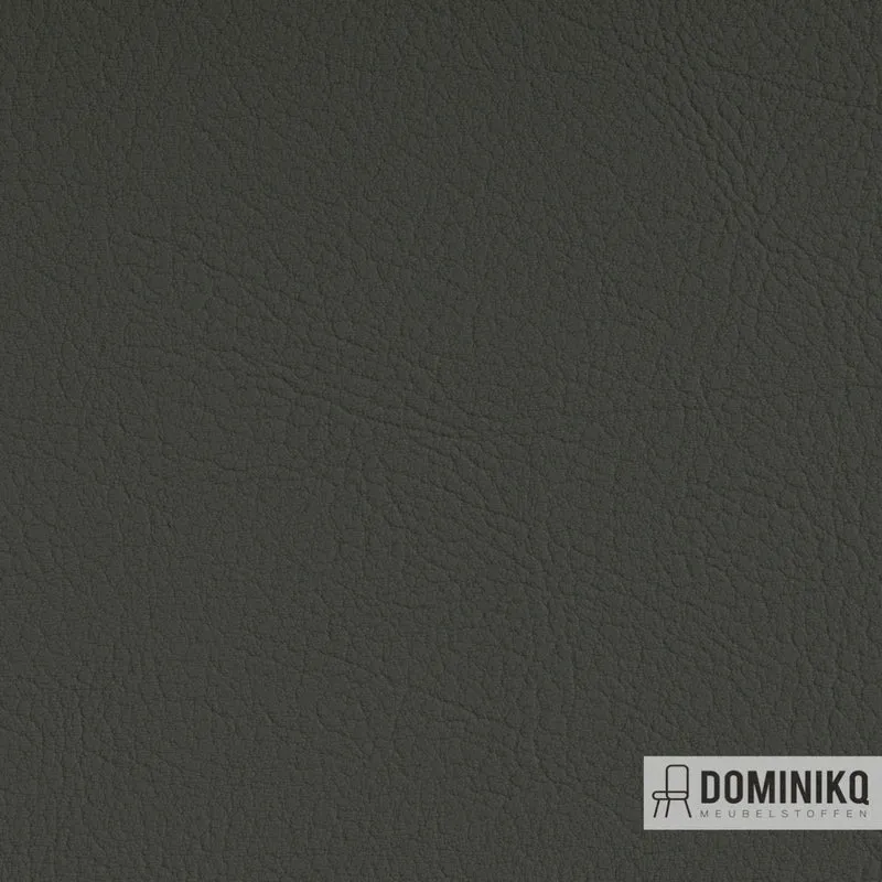 Vyva Fabrics - Valencia - 107-4052 - Light Grey
