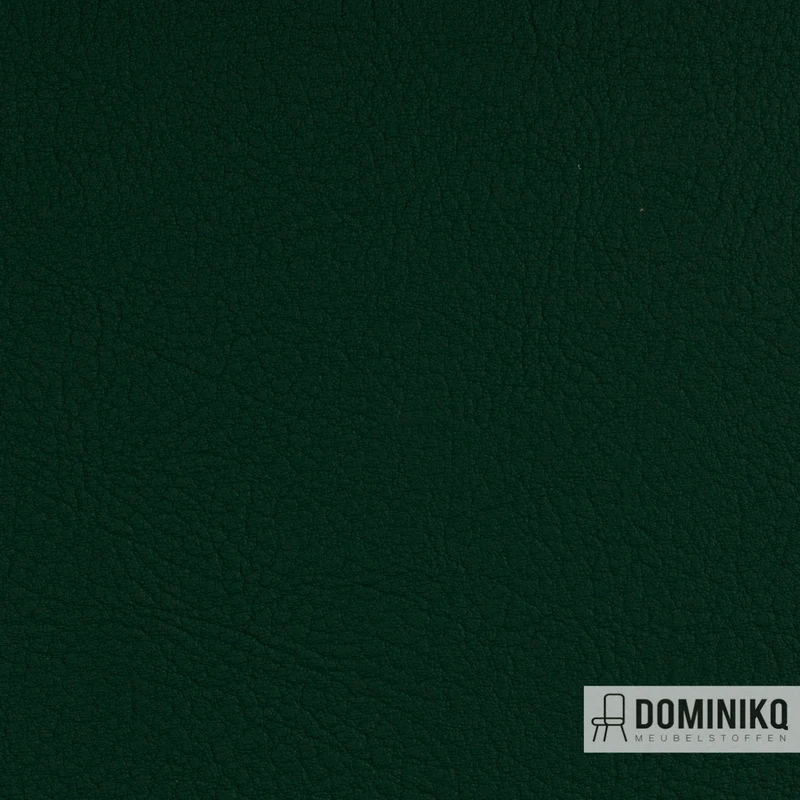 Vyva Fabrics - Valencia - 107-5069 - Green
