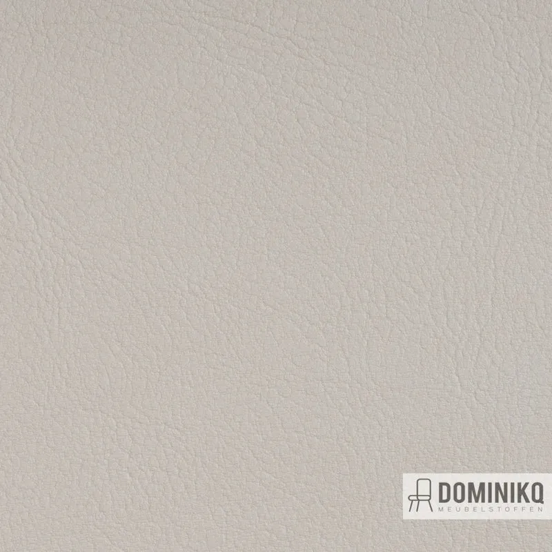 Vyva Fabrics - Valencia - 107-8020 - PearlEssenz
