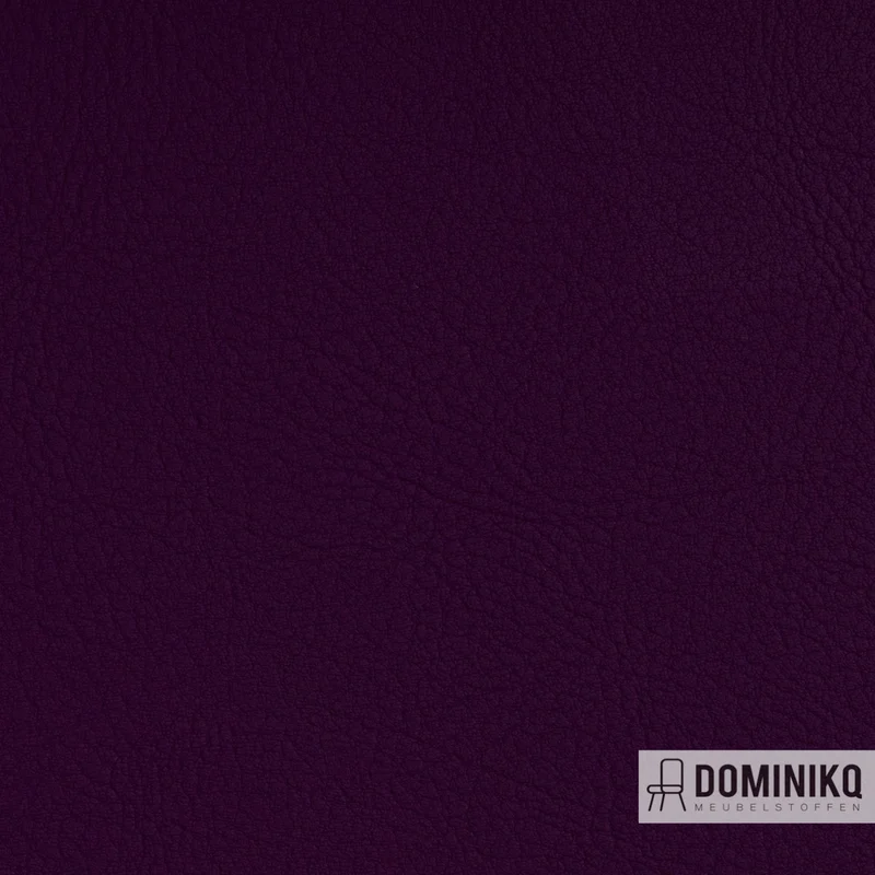 Vyva Fabrics - Valencia - 107-7001 - AmeThyst